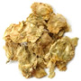 Hop Flowers