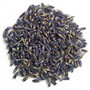 Lavender Flowers
