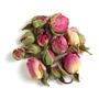 Roses, Pink