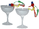 Drinking Bird