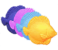Click Here To View Details Of The  Sunfish Assortment